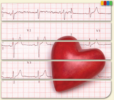 Module 13—Heart Health and Blood Pressure