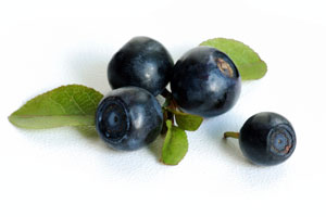 Bilberry