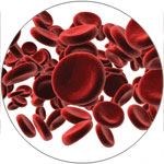 Normal red blood cell count