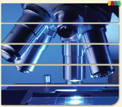 Module 7—Understanding Kidney Lab Tests